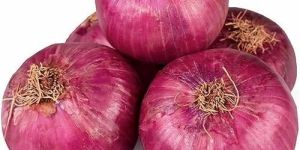 Fresh Big Red Onion