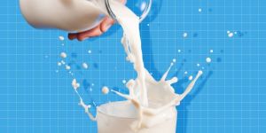 Donkey Milk