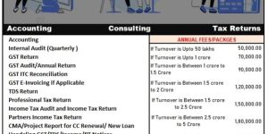 Tax Consultancy