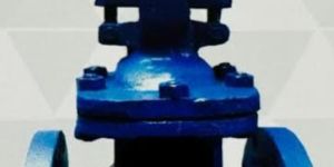 Flange End Globe Valve