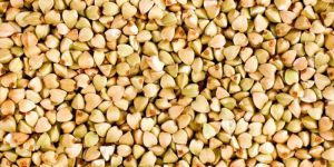 Buckwheat