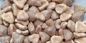 Dried Kadma Singhara