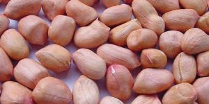 Raw Peanut