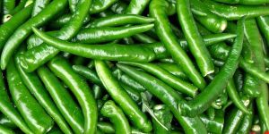Green Chilli