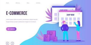 Ecommerce Website Development