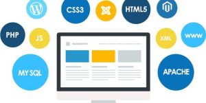 Software Development Service