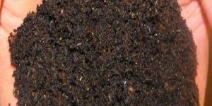 Vermicompost