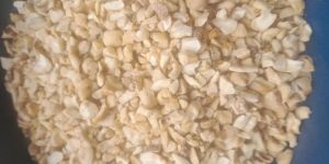 Broken Cashew Nuts