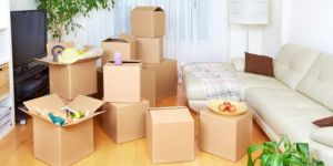 Domestic Relocation Service
