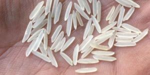 1121 Sella Basmati Rice