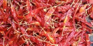 Dried Red Chili