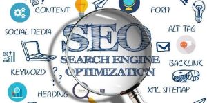 SEO Training Services