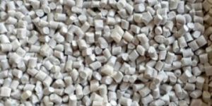 Cattle Feed Supplement