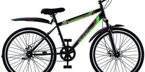 Ever Bicycle