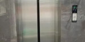 Stainless Steel Passenger Elevator