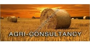 Agri Business Consultancy