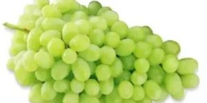 a Grade Green Grapes