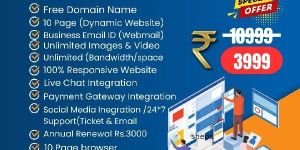 Wordpress Web Design Services