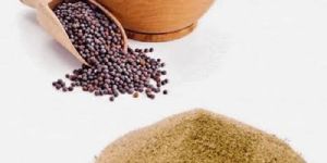 Black Mustard Powder