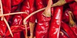 Red Chilli
