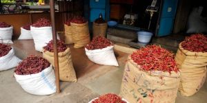 Red Chili