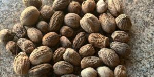 Nutmeg