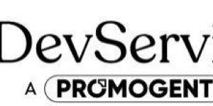 Wordpress Website Developmet Service