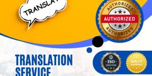 Document Translation Services