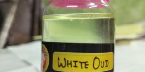 White Oud