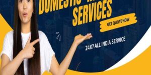 Domestic Relocation Service
