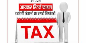 Income Tax Consultant