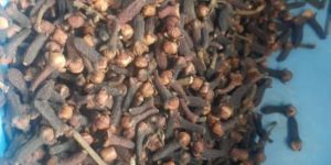 ALL TYPES CLOVE