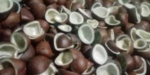 ALL TYPES DRY COCONUT