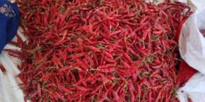 ALL TYPES RED CHILI