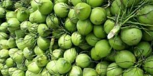 ALL TYPES WATER COCONUT