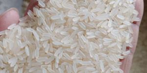 ir64 Rice
