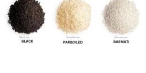 1121 Sella Basmati Chawal