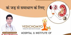 Kidney Stone Ayurvedic Treatment