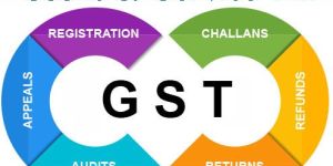 GST Consultant Service
