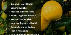 Nutrition Consultation Service