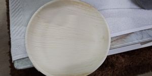 9 Inch Areca Leaf Plate