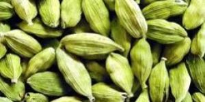 Cardamom