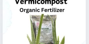 Vermicompost Fertilizer