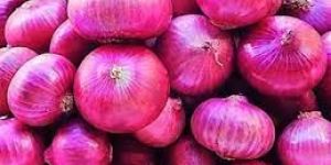 Fresh Red Onion