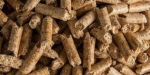 Biomass Pellet