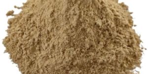 Dehydrated Garlic Powder