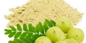 Food Grade Amla Powder