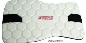 Cricket Guard