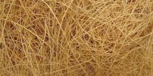 Coconut Fiber