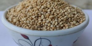 Raw Bold Quinoa Seeds